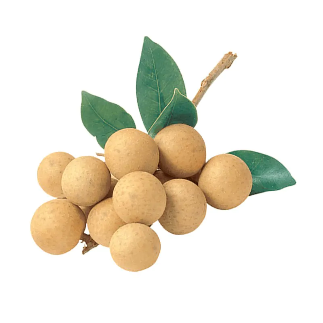 Y22 LONGAN IMPORT 500G